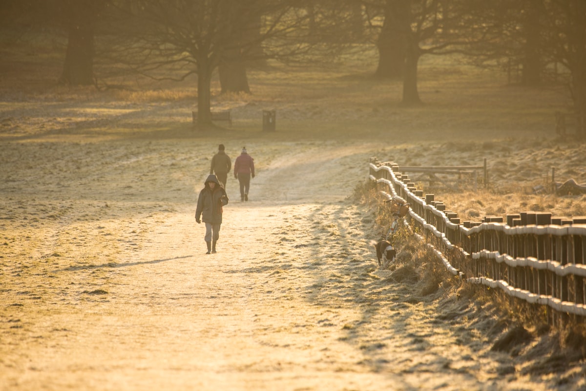 Scientific research on daily wellness habits